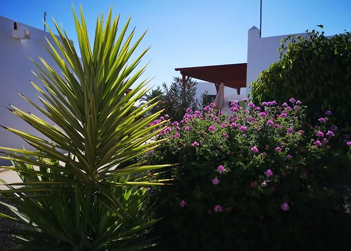 Semesterbostad Tranquillo E Soleggiato